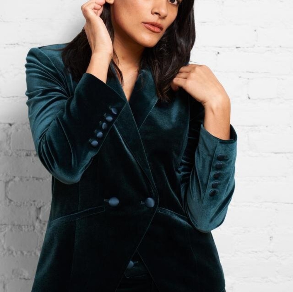 US | NWT Velvet Blazer